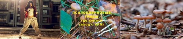 гашиш Аркадак