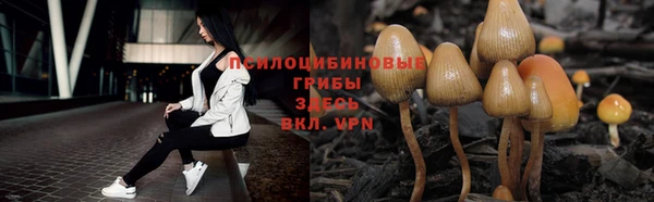 мдма Приозерск