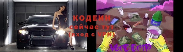 прущие грибы Армянск