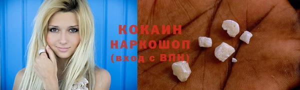 прущие грибы Армянск