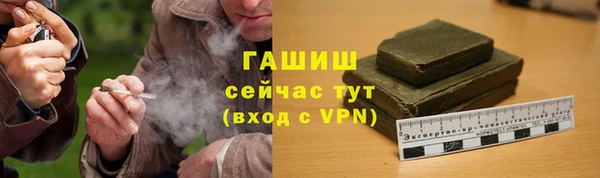 прущие грибы Армянск