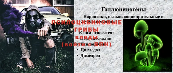 прущие грибы Армянск