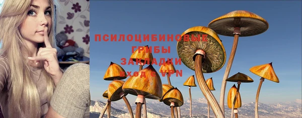 прущие грибы Армянск